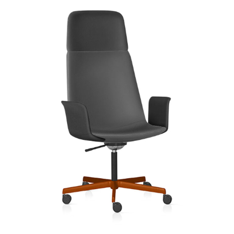 Aiyra_alta_0000s_0000s_0000_Camada 93