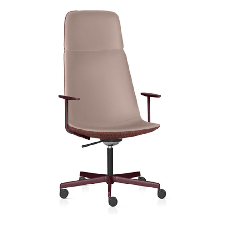 Aiyra_alta_0000s_0000s_0002_Camada 90